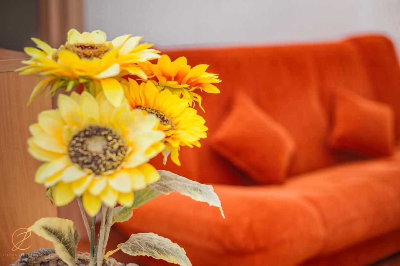 Apartments Batricevic Herceg Novi Dış mekan fotoğraf