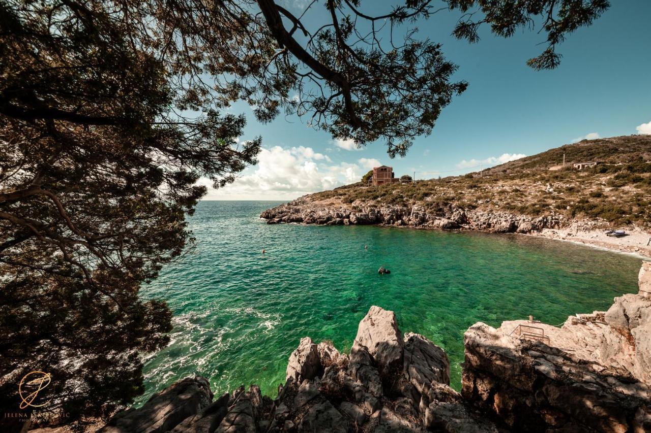 Apartments Batricevic Herceg Novi Dış mekan fotoğraf