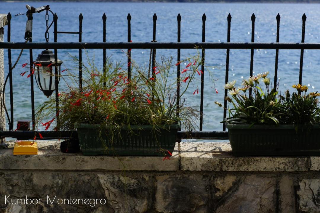 Apartments Batricevic Herceg Novi Dış mekan fotoğraf