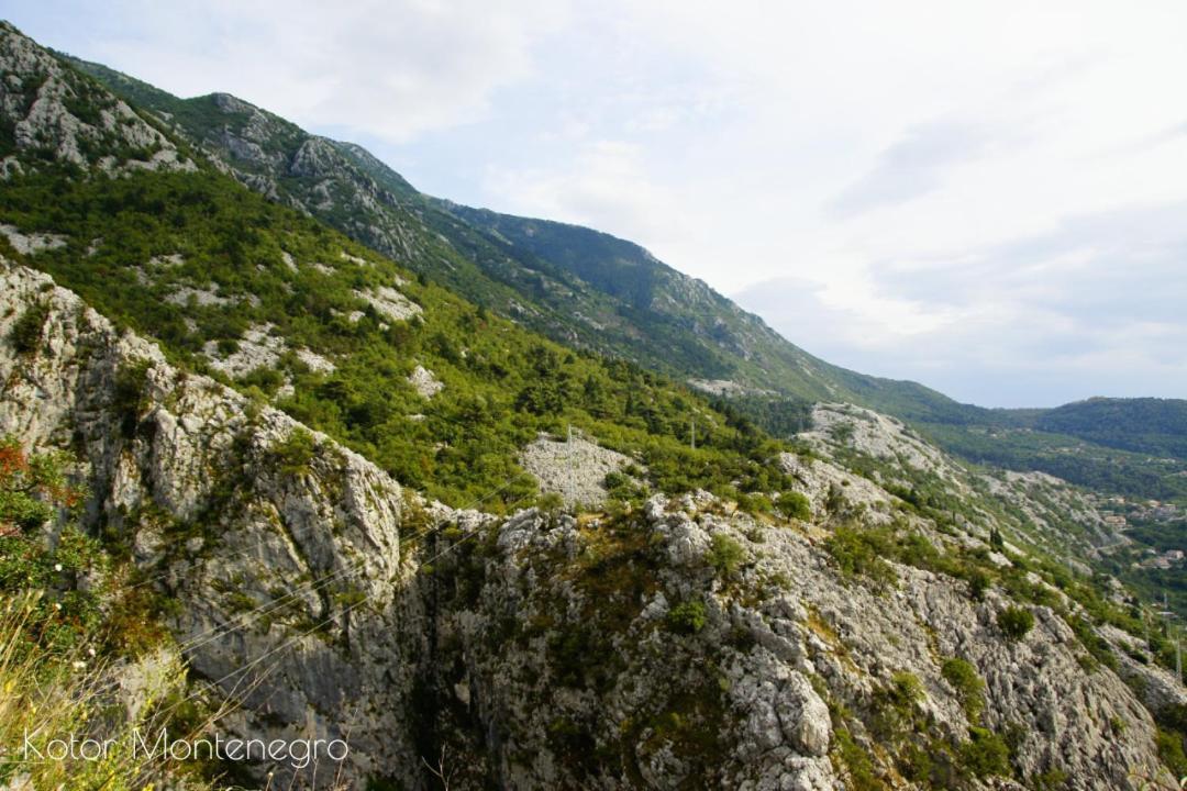 Apartments Batricevic Herceg Novi Dış mekan fotoğraf
